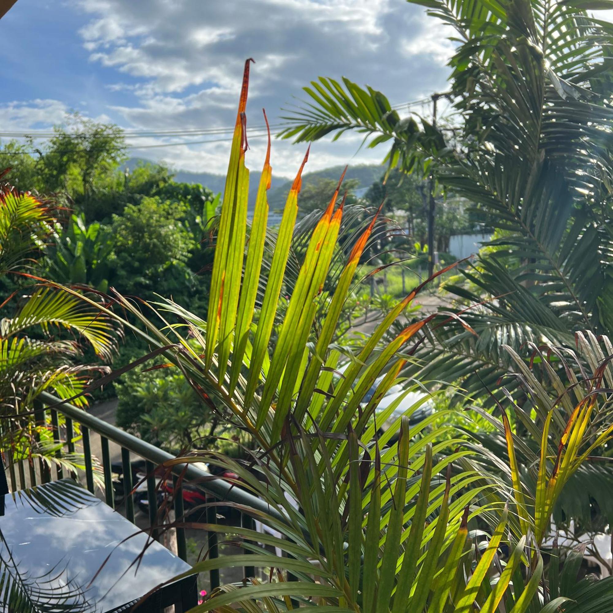 Kata Villa Merit Hill Bungalows Karon Dış mekan fotoğraf