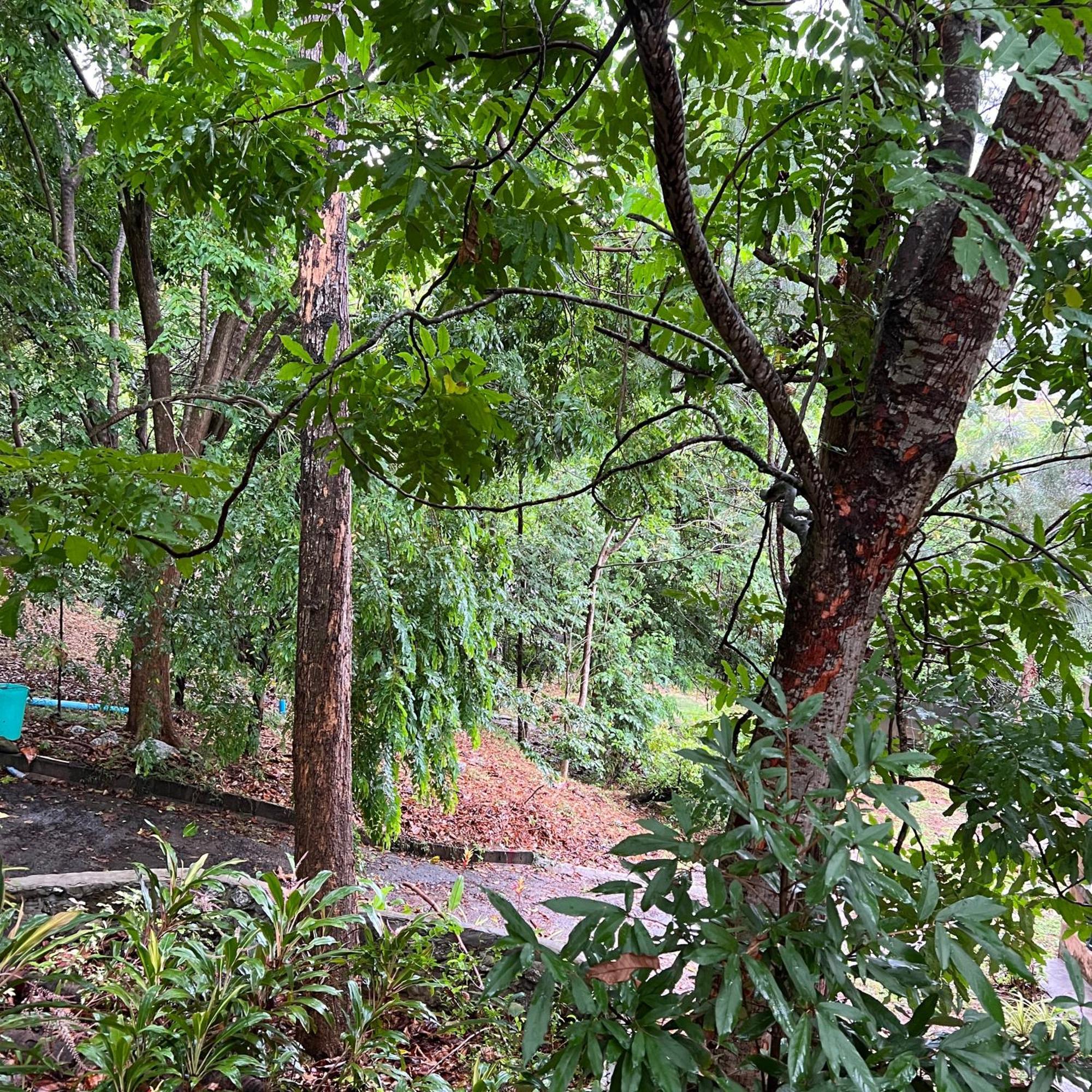 Kata Villa Merit Hill Bungalows Karon Dış mekan fotoğraf